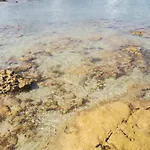 Caserurali Ceglie Messapica
