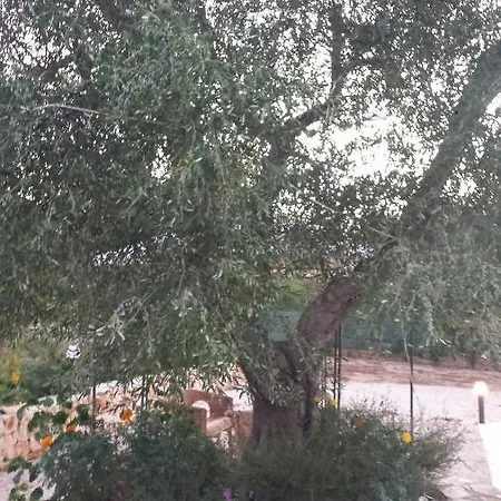 Holiday home Caserurali Ceglie Messapica