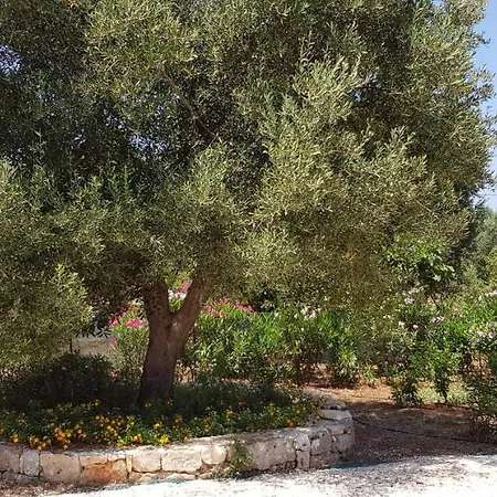 Caserurali Holiday home