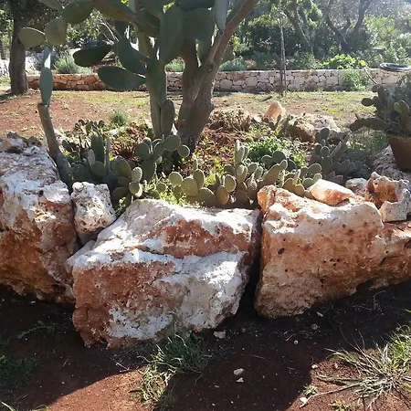 Caserurali Prázdninový dům Ceglie Messapica