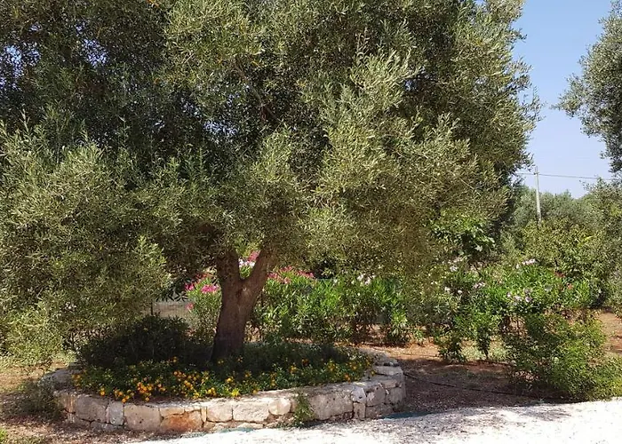 Caserurali Tatil Evi